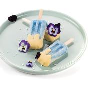 Moule mini glaces vintage x4